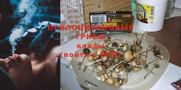 марихуана Белокуриха